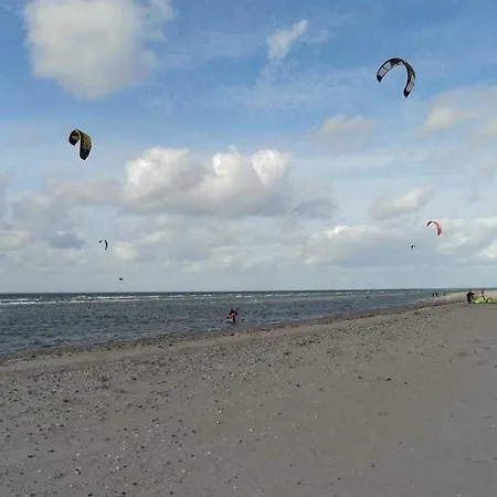 Weisse Möwe * Barendorf (Mecklenburg-Vorpommern)